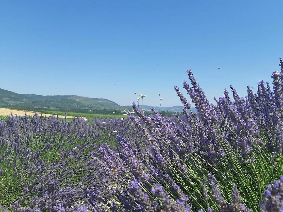Gites La Musardiere Alba-la-Romaine 0*,